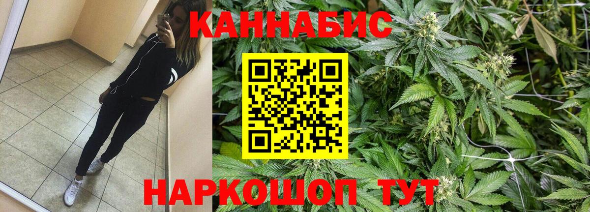 Бошки Шишки семена  Шишки марихуана OG Kush  Вход с VPN  Тельмана  Бошки Шишки индика 